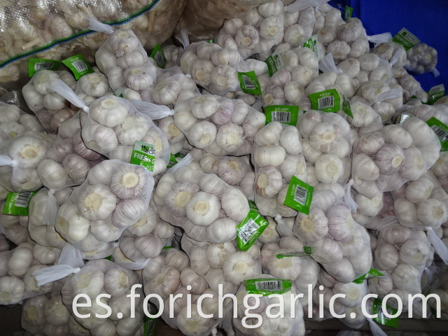 High Quality Normal White Garlic